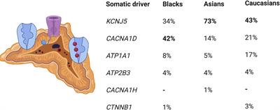 Molecular Genetic and Genomic Alterations in Cushing’s Syndrome and Primary Aldosteronism